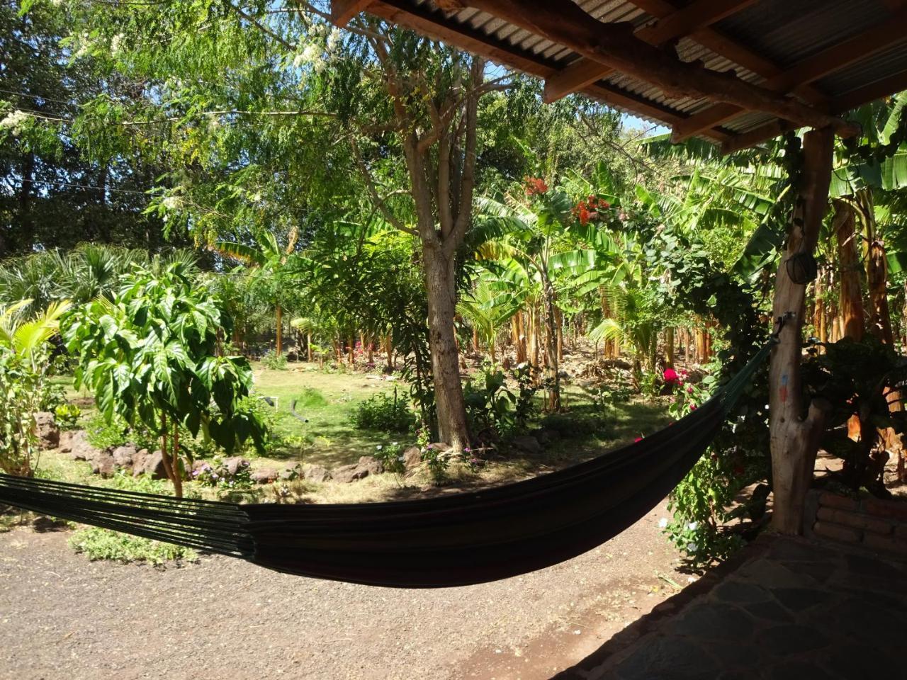Appartement Casa Papaki à Mérida Extérieur photo
